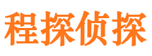 西丰市调查公司